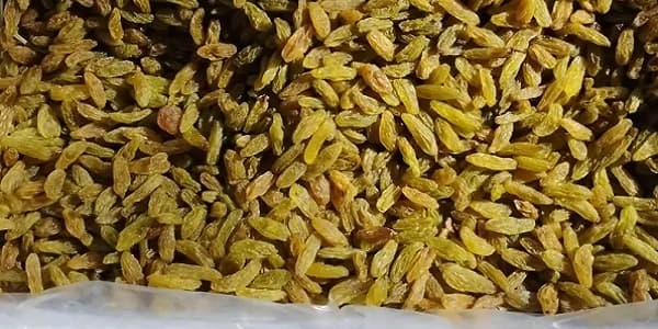 تصویر 1 از خرید و فروش کشمش ممتاز کاشمر با شرایط فوق العاده